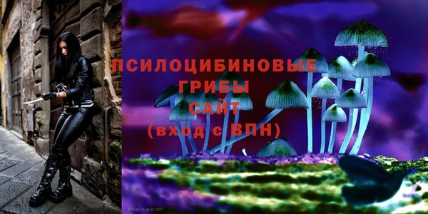 не бодяженный Абдулино